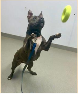 One Foot